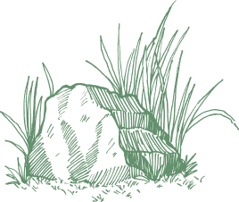 Grafika - kamień