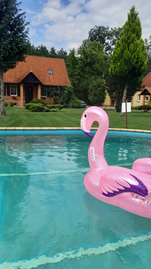 Urodziny lubuskie